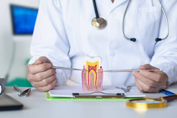 Best Walk-In Dentist Near Me  in Vandercook Lake, MI